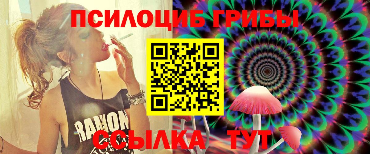 Северобайкальск  Псилоцибиновые грибы ЛСД  магазин    Вход с VPN  Псилоцибиновые грибы мицелий 